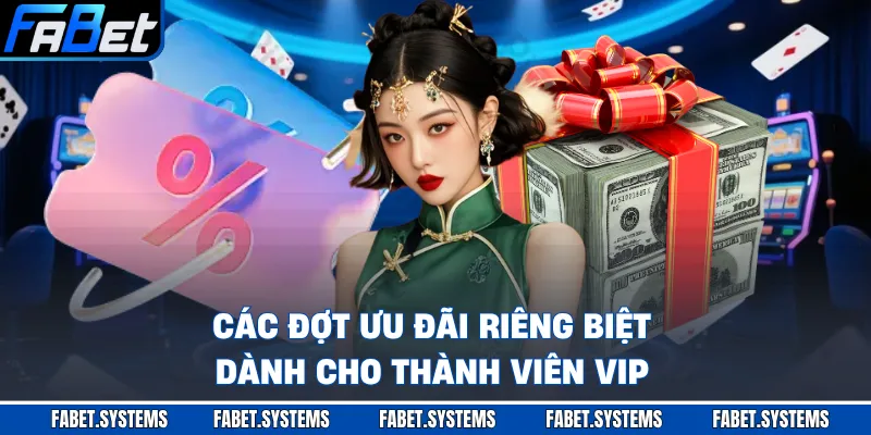 Các đợt ưu đãi riêng biệt dành cho thành viên VIP